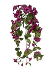 Piquet de petunia