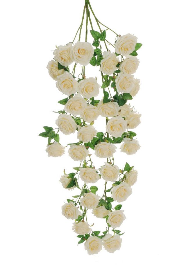 Piquet de rose