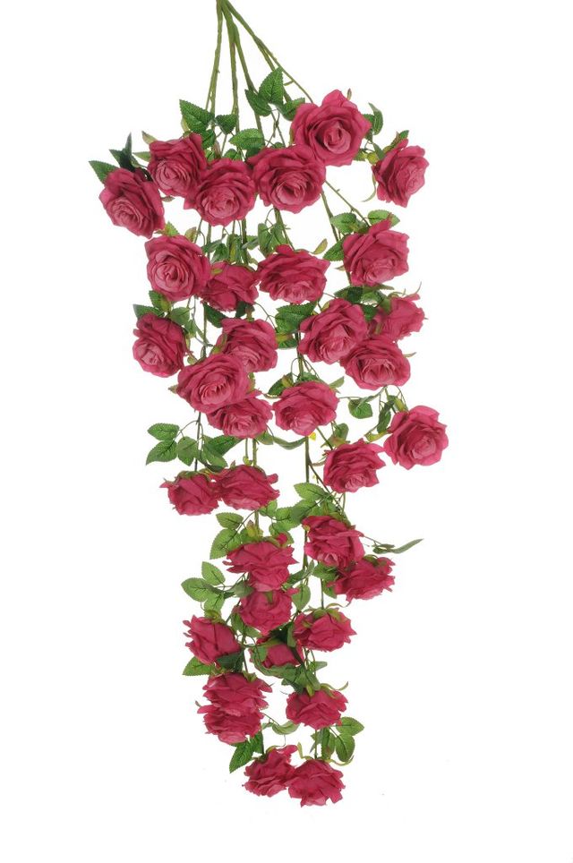 Piquet de rose