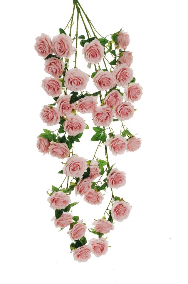 Piquet de rose