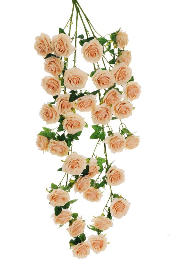 Piquet de rose