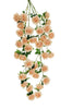 Piquet de rose