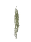 Piquet de tillandsia