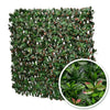 Plaque végétale feuilles de photinia