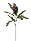 Protea cyneroides