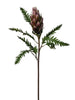 Protea cyneroides