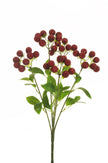 Raspberry