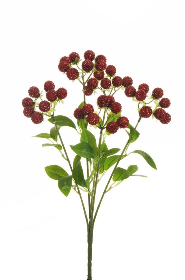 Raspberry