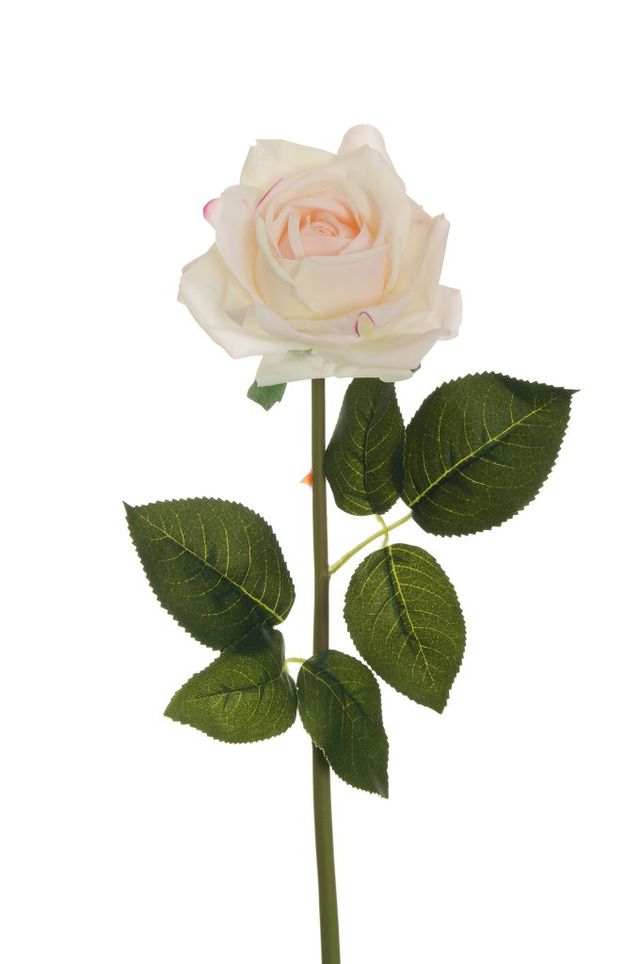 Rose réaliste