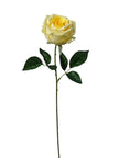 Rose sur tige