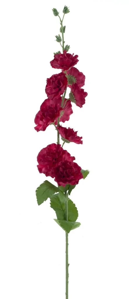 Rose trémiére