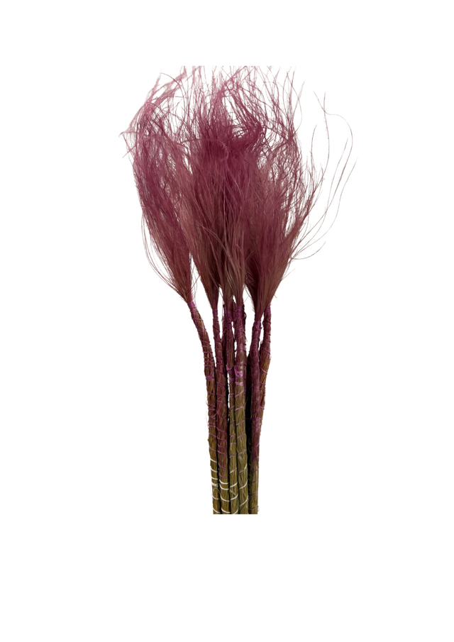 Stypa Pennata Tuffs