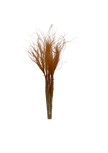 Stypa Pennata Tuffs