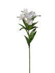 Tige d’alstroemeria