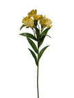 Tige d’alstroemeria