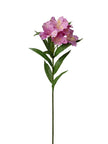 Tige d’alstroemeria