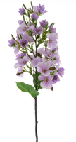 Tige d'hortensia