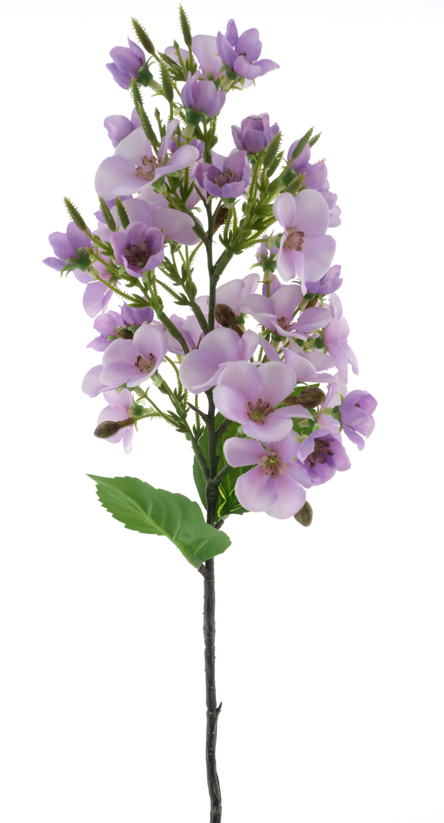 Tige d'hortensia