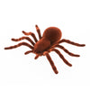 Araignee brune