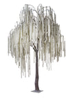 Arbre amarante blanc