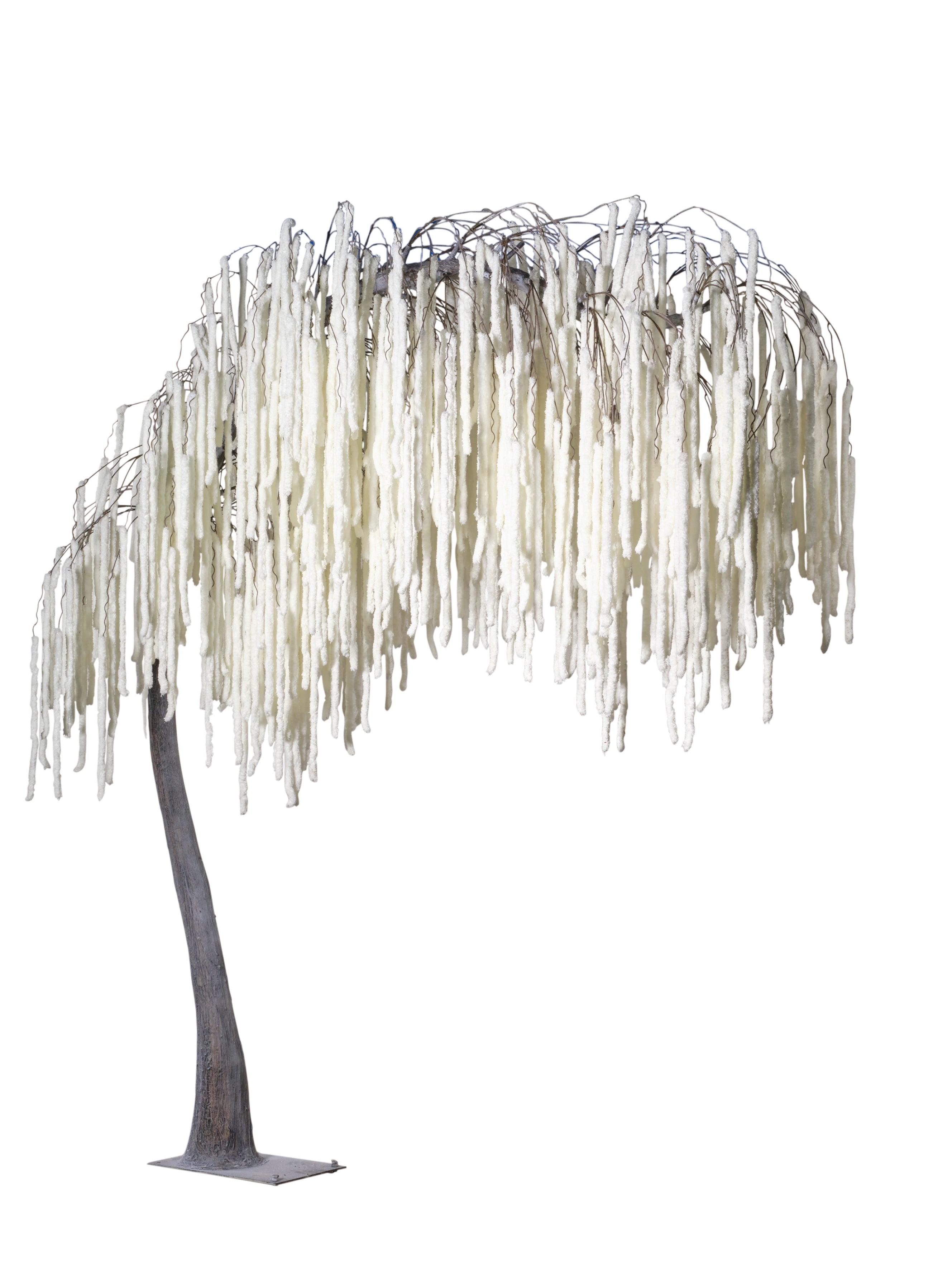 Arbre amarante blanc