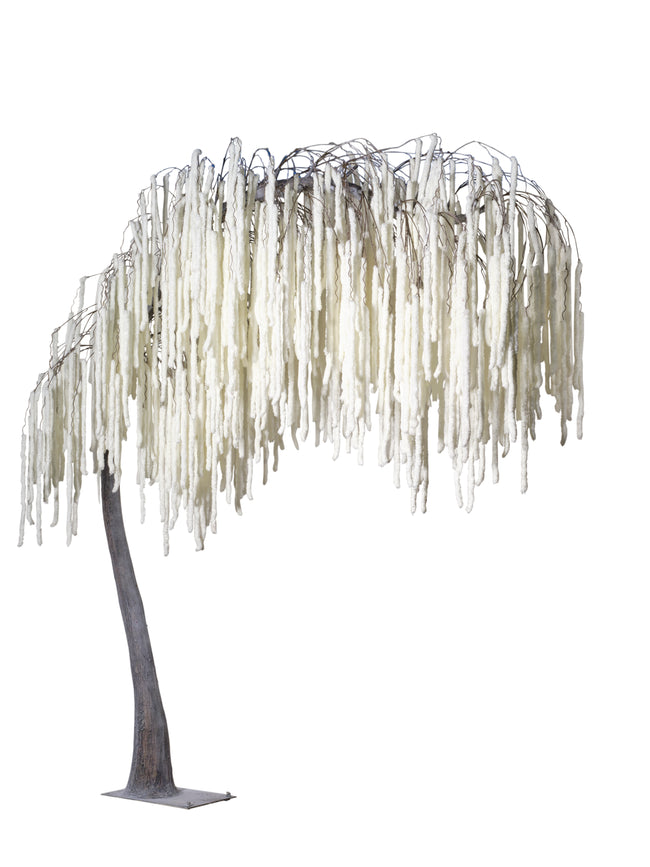 Arbre amarante blanc