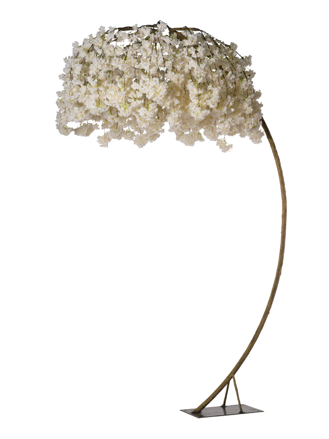 Arbre blossom