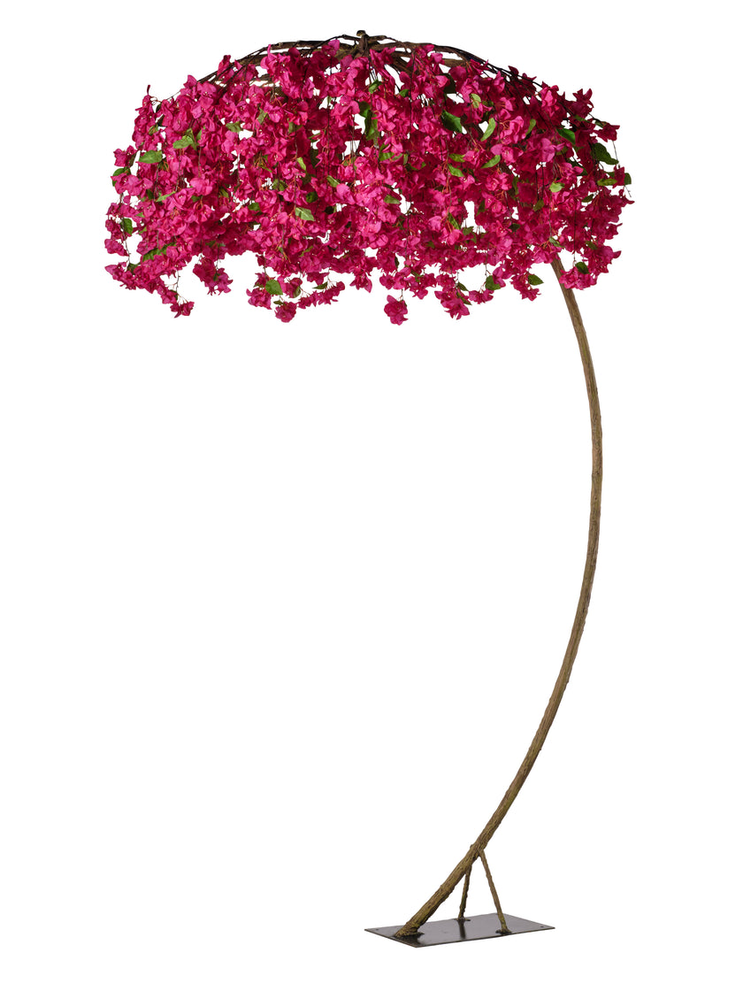 Arbre bougainviller