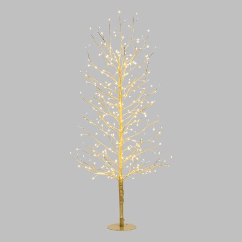 Arbre Branche Tilleul Champagne