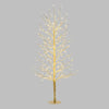 Arbre Branche Tilleul Champagne