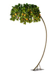 Arbre citronier