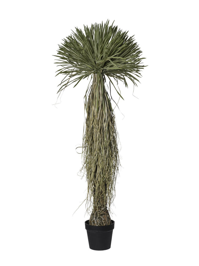 Arbre de scarecrow