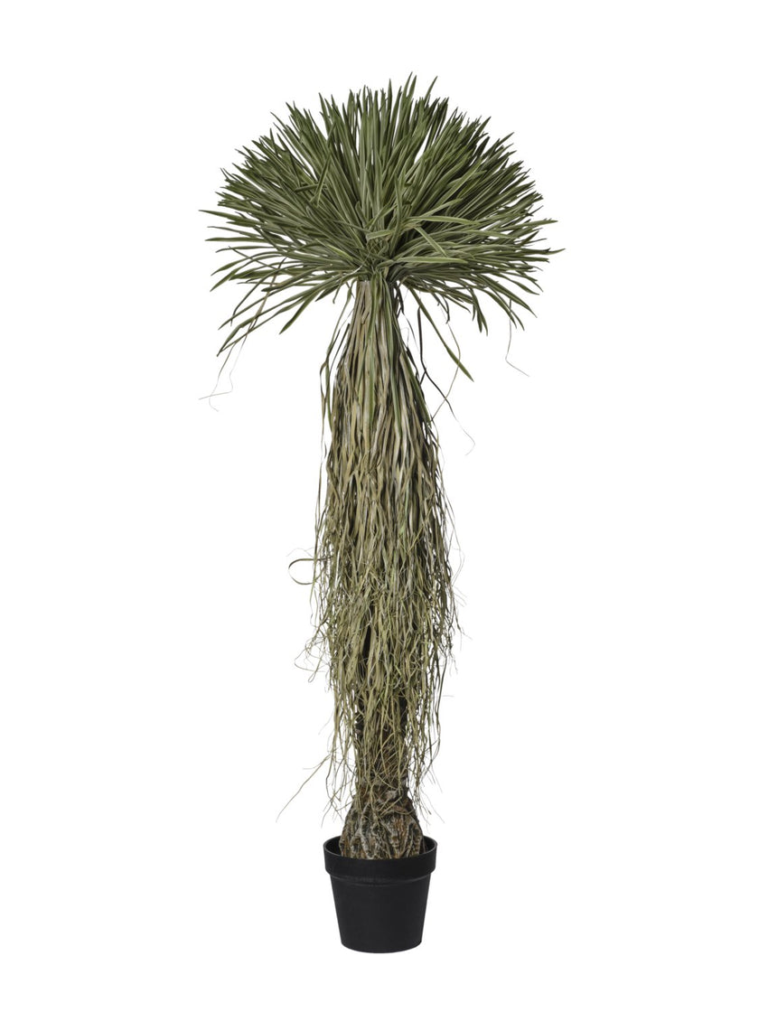 Arbre de scarecrow