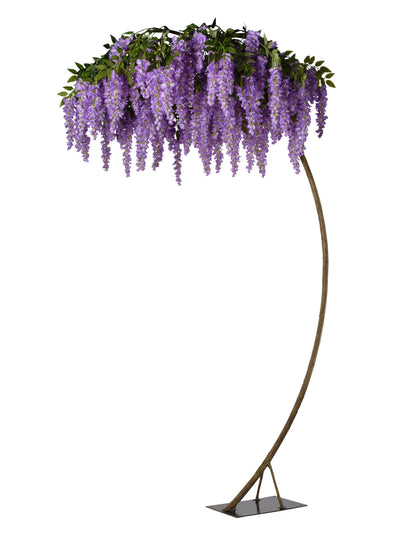 Arbre glycine
