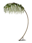 Arbre glycine