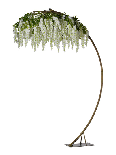 Arbre glycine