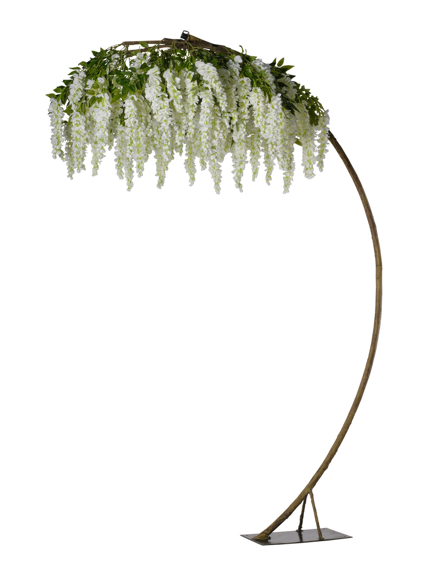 Arbre glycine