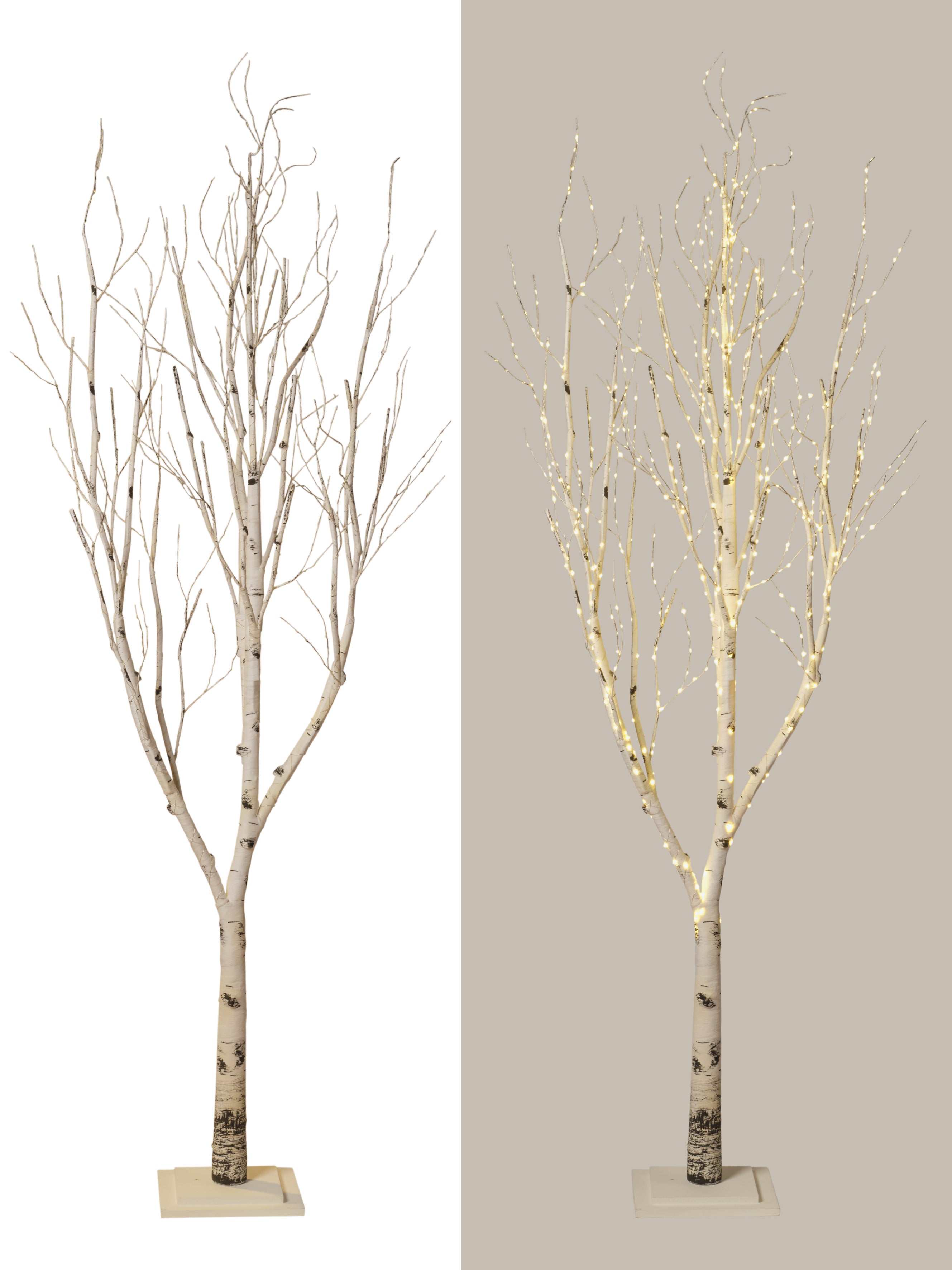 Arbre naturel lumineux