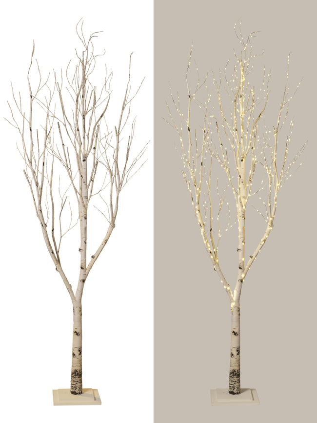 Arbre naturel lumineux