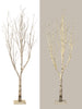 Arbre naturel lumineux