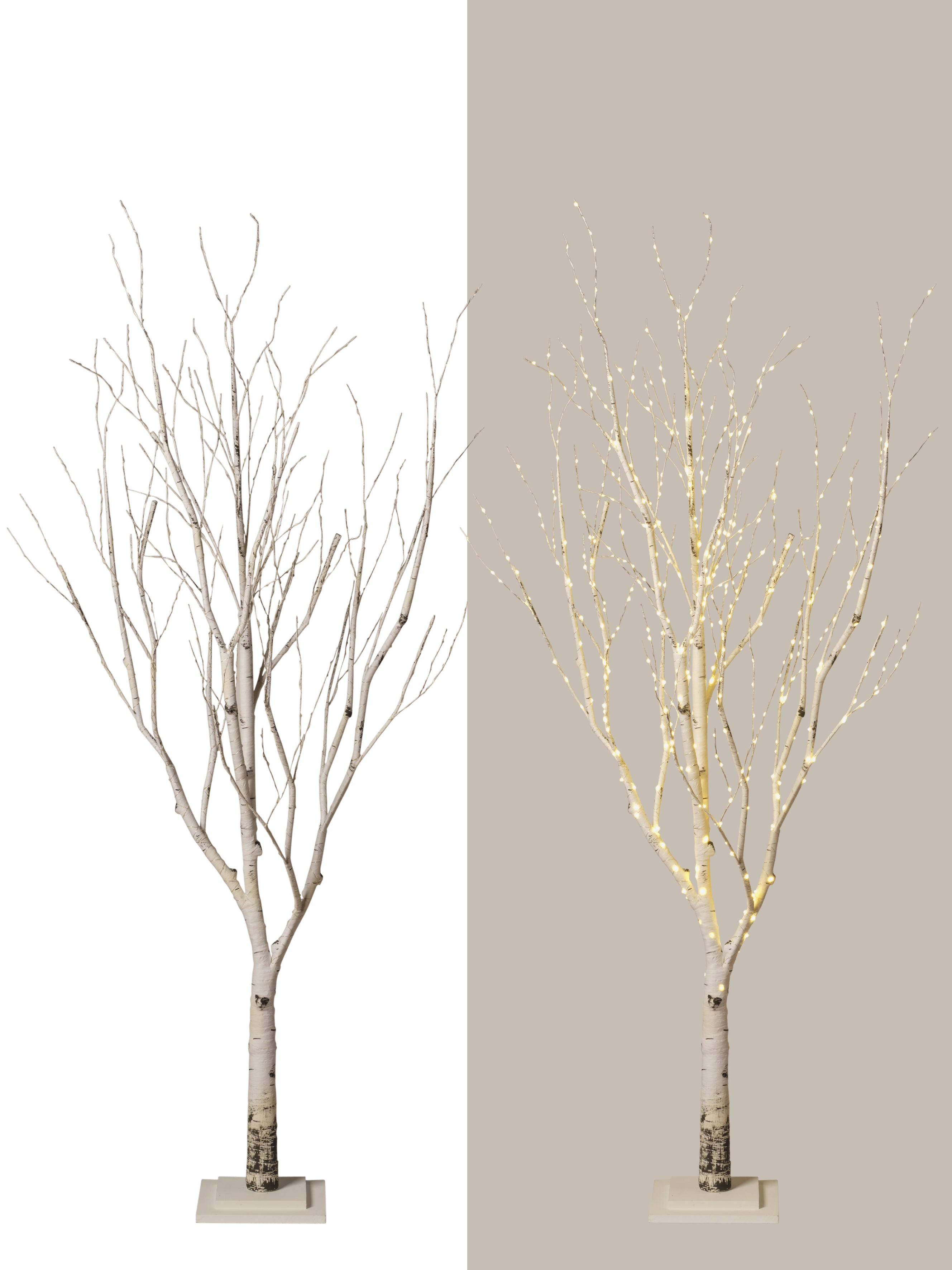Arbre naturel lumineux
