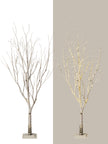 Arbre naturel lumineux