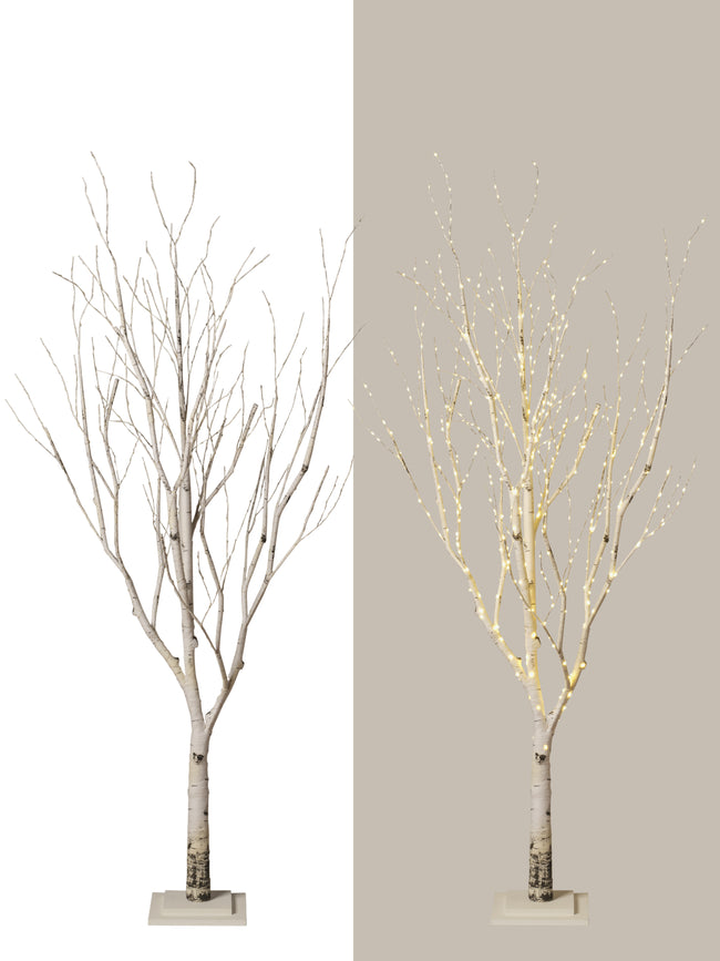 Arbre naturel lumineux