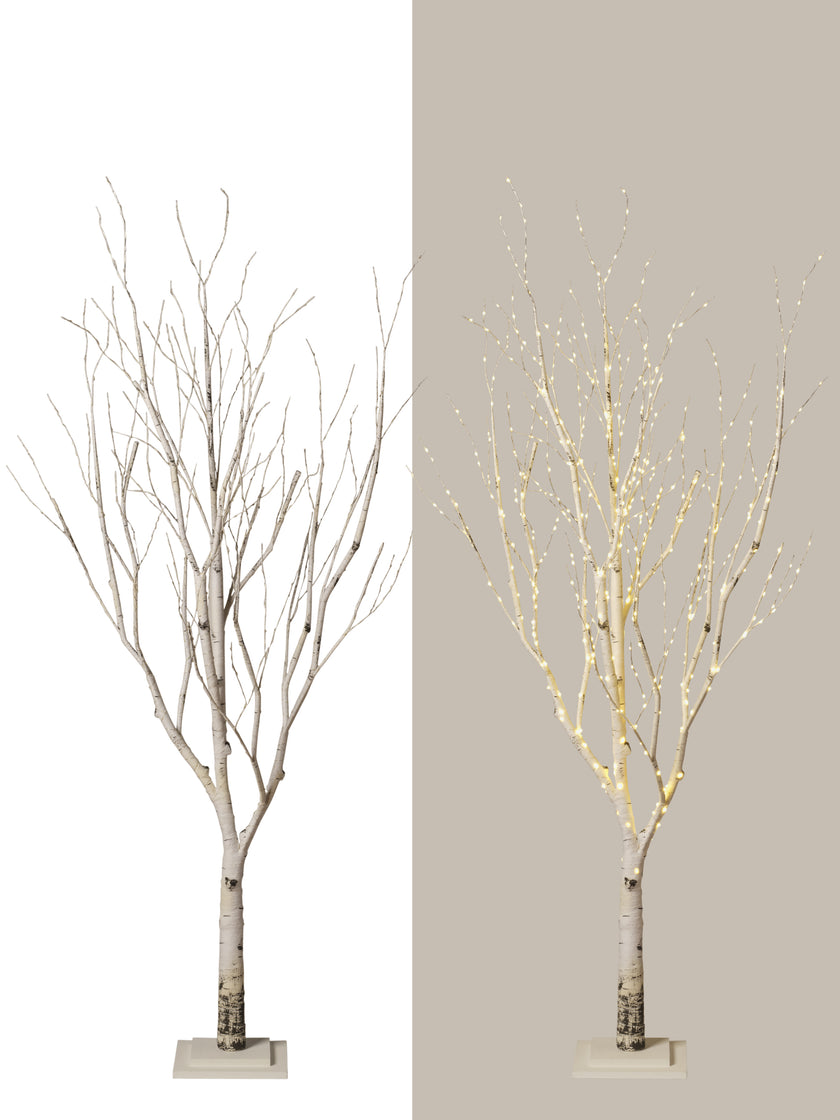 Arbre naturel lumineux