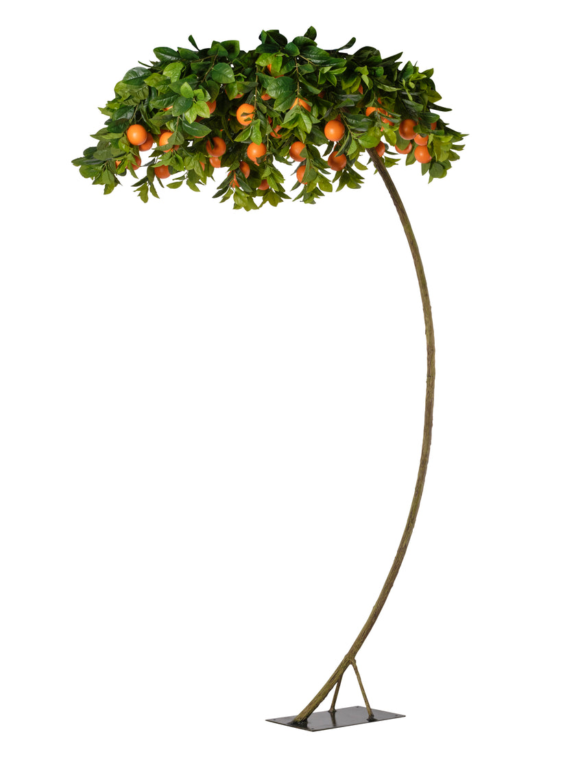 Arbre orange