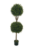Arbuste de buis 2 boules
