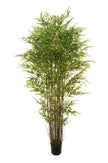 Bamboo oriental