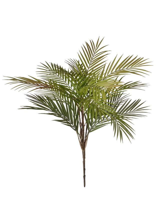 Bamboosa