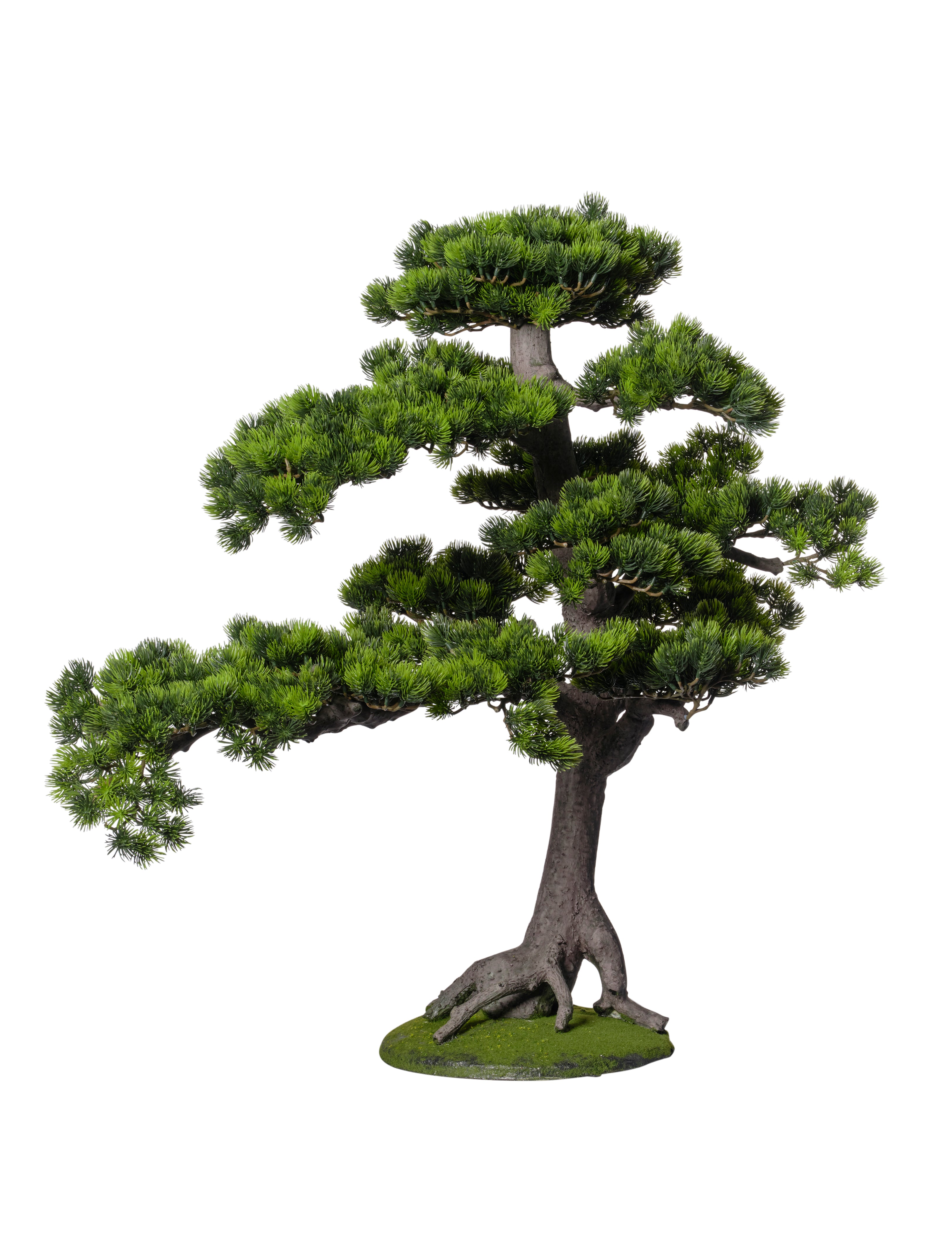 Bonsaï