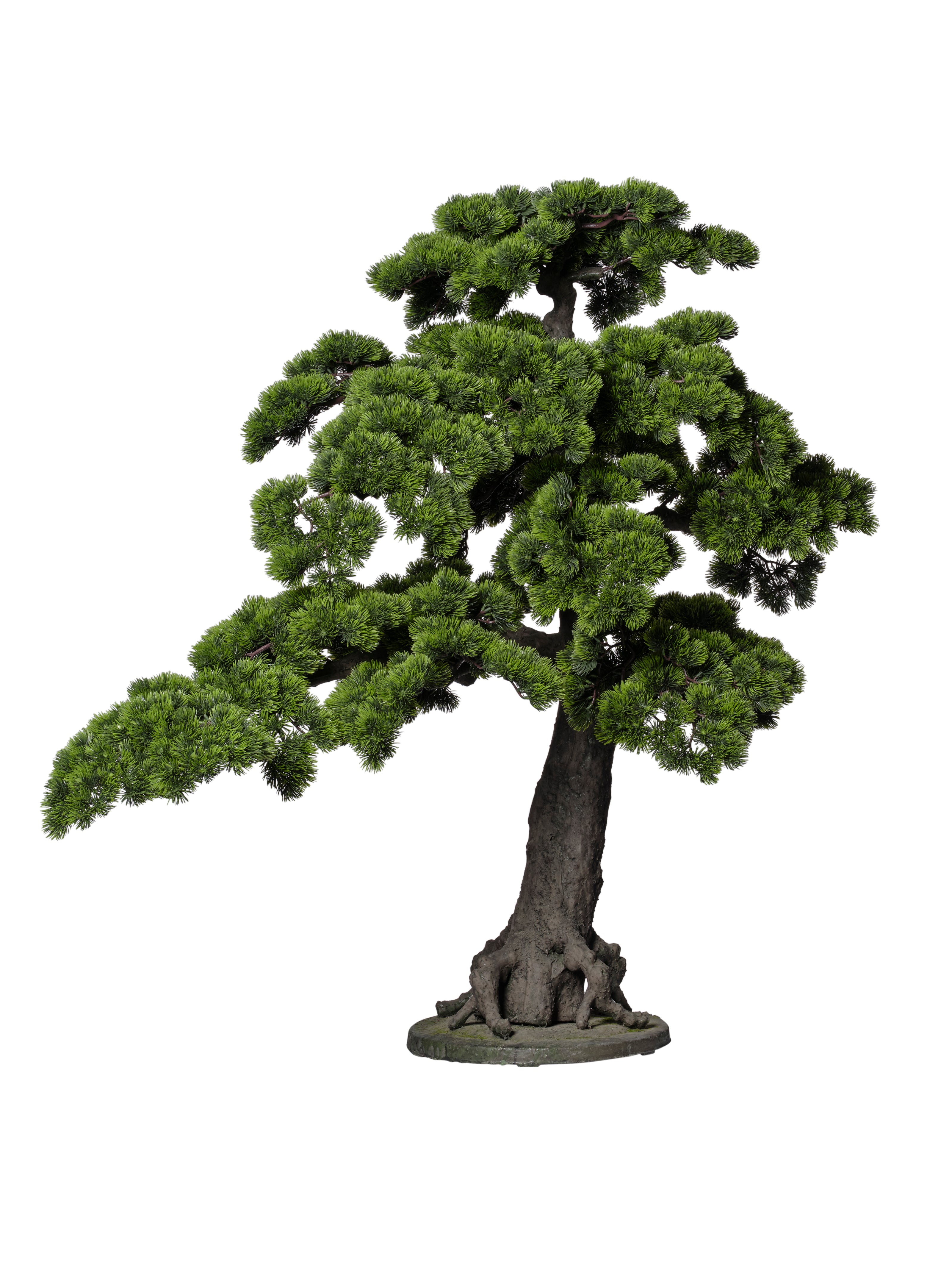 Bonsaï